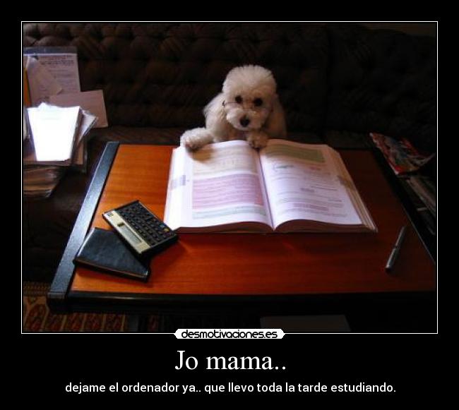 Jo mama.. - dejame el ordenador ya.. que llevo toda la tarde estudiando.