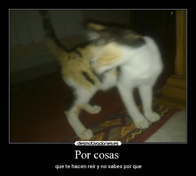 Por cosas -