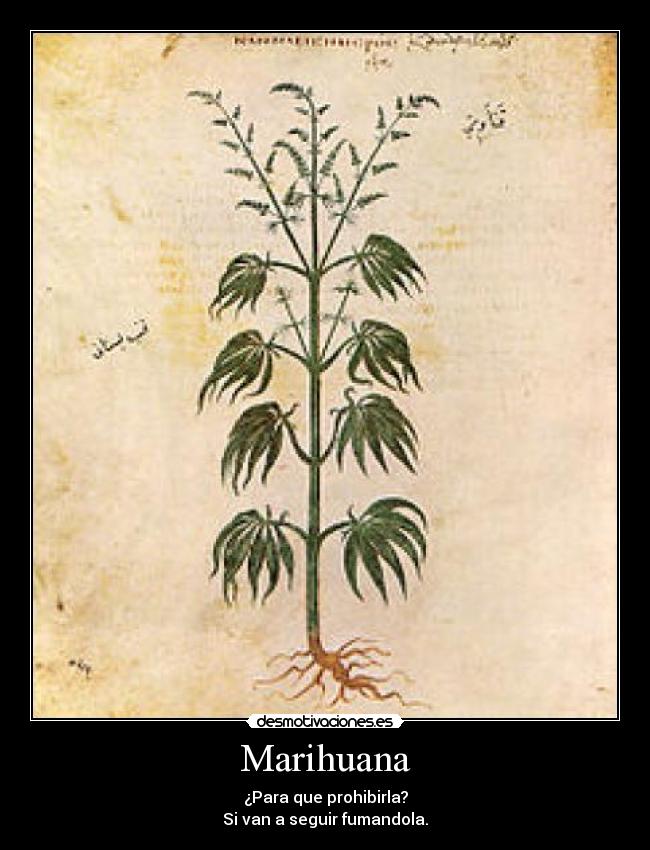 Marihuana -