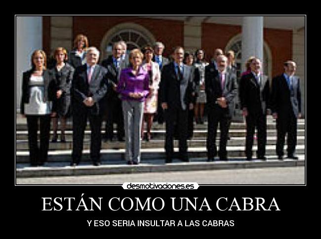 carteles cometa desmotivaciones