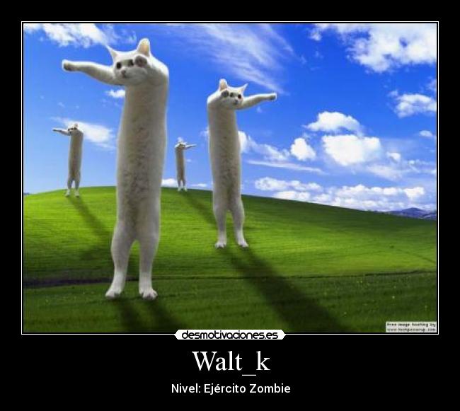 Walt_k -