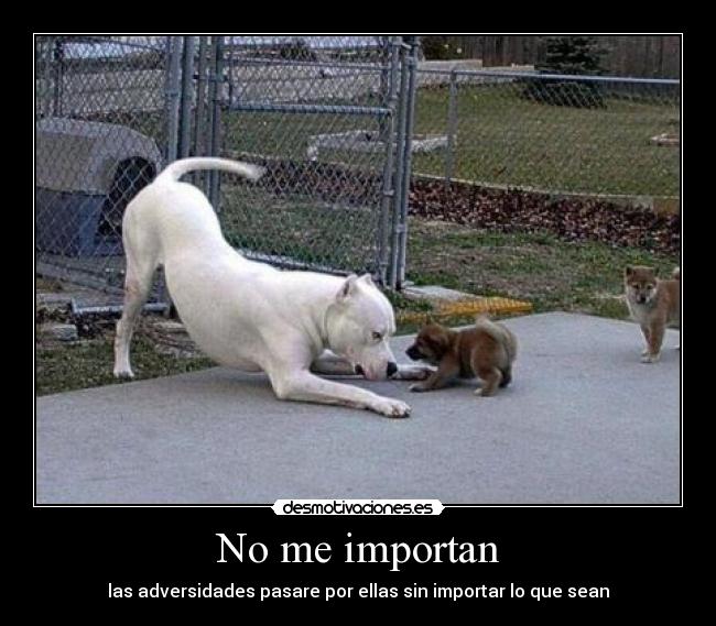 No me importan - las adversidades pasare por ellas sin importar lo que sean