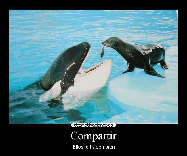 Compartir - Ellos lo hacen bien