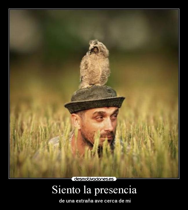 Siento la presencia - de una extraña ave cerca de mi