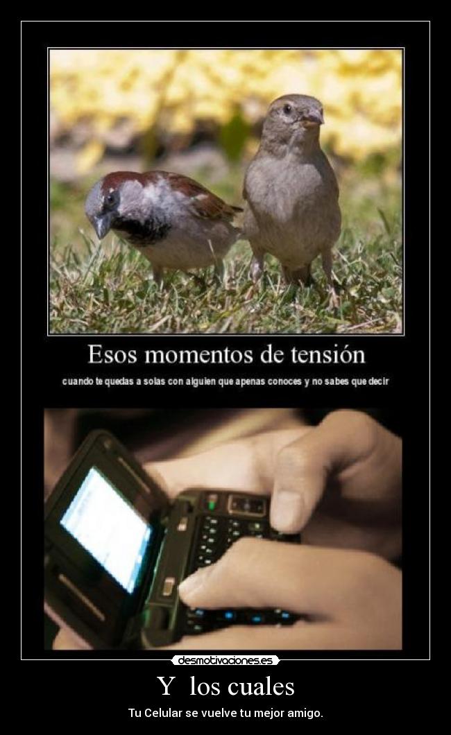 Y  los cuales - Tu Celular se vuelve tu mejor amigo.