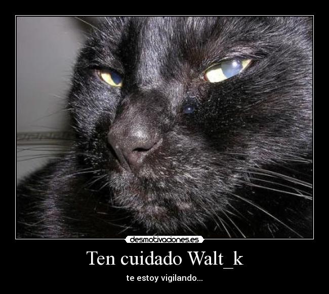 Ten cuidado Walt_k - 