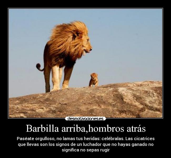 Barbilla arriba,hombros atrás - Paséate orgulloso, no lamas tus heridas: celébralas. Las cicatrices
que llevas son los signos de un luchador que no hayas ganado no
significa no sepas rugir