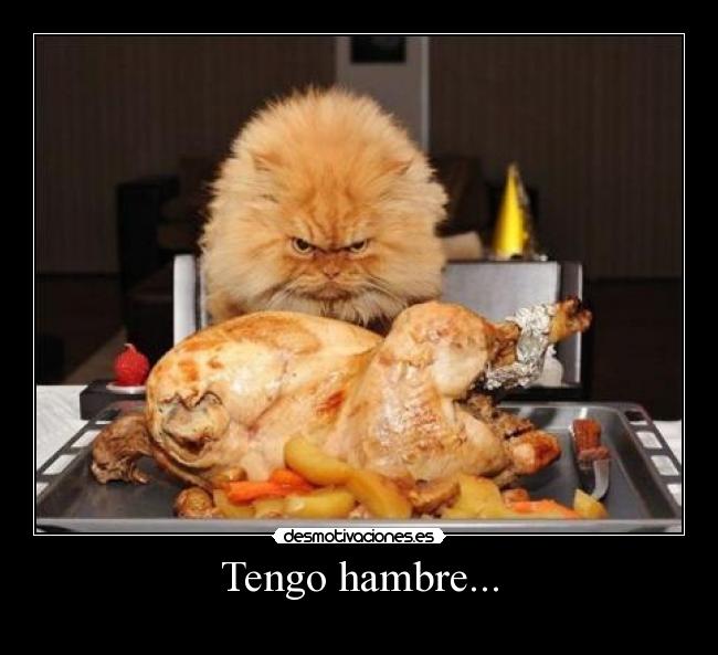 Tengo hambre... -  