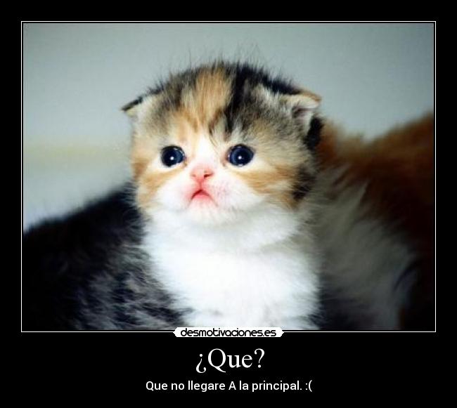 ¿Que? - Que no llegare A la principal. :(
