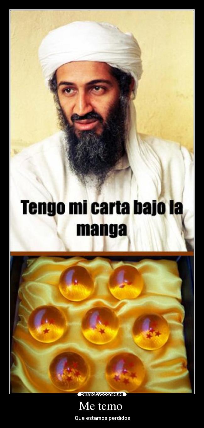 carteles osama desmotivaciones