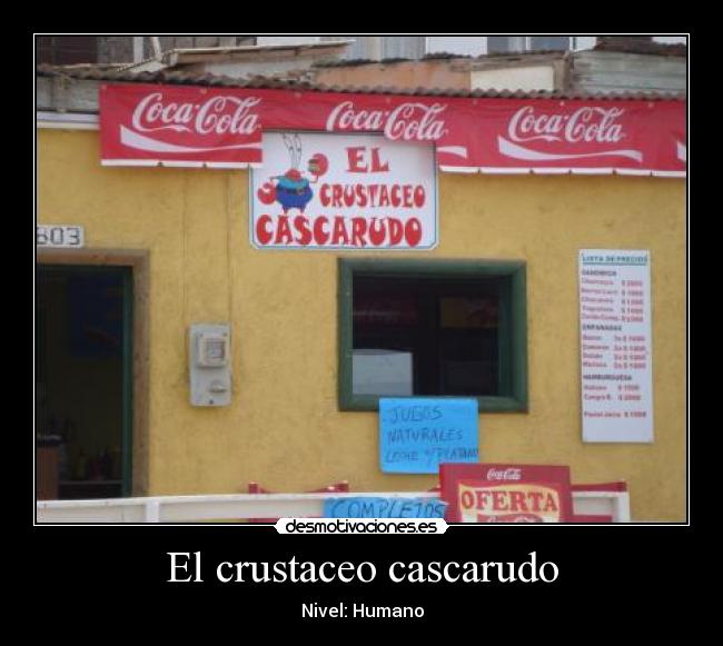 El crustaceo cascarudo - Nivel: Humano