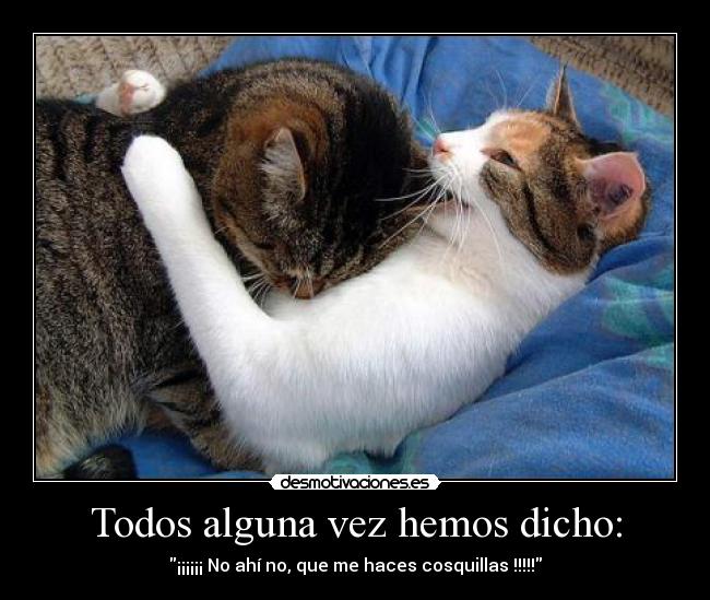 Todos alguna vez hemos dicho: - ¡¡¡¡¡¡ No ahí no, que me haces cosquillas !!!!!