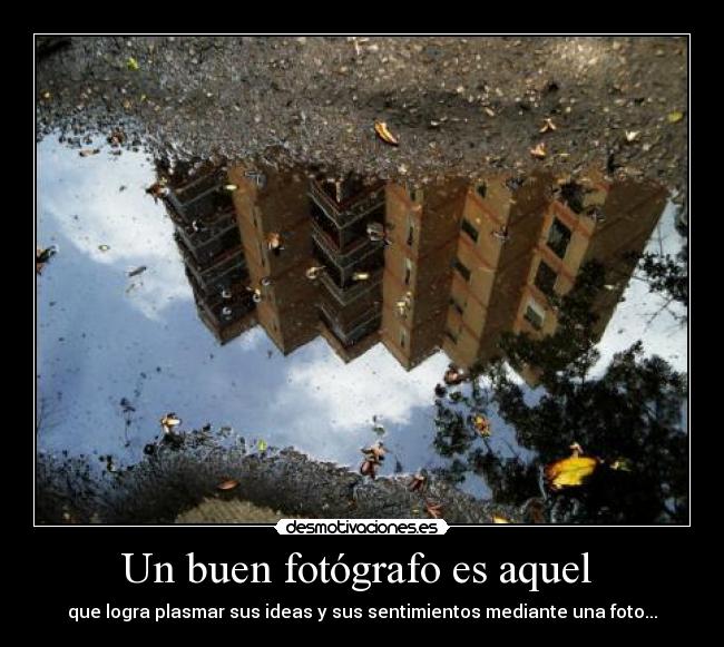 Un buen fotógrafo es aquel  - 