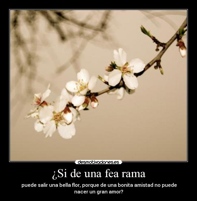 ¿Si de una fea rama - 