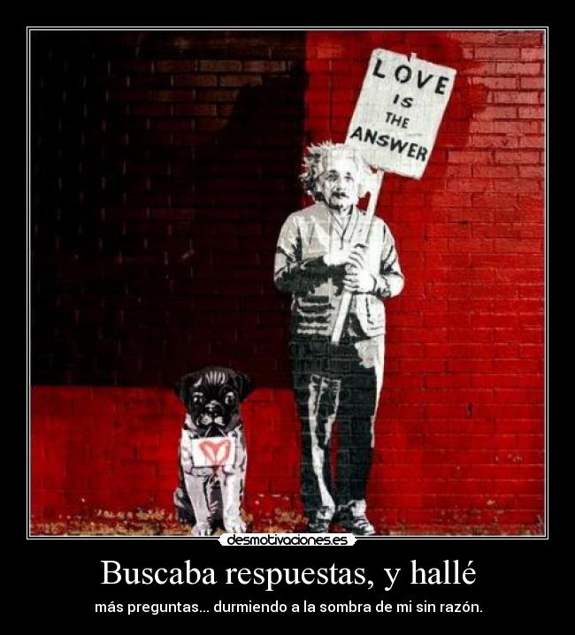 Buscaba respuestas, y hallé -
