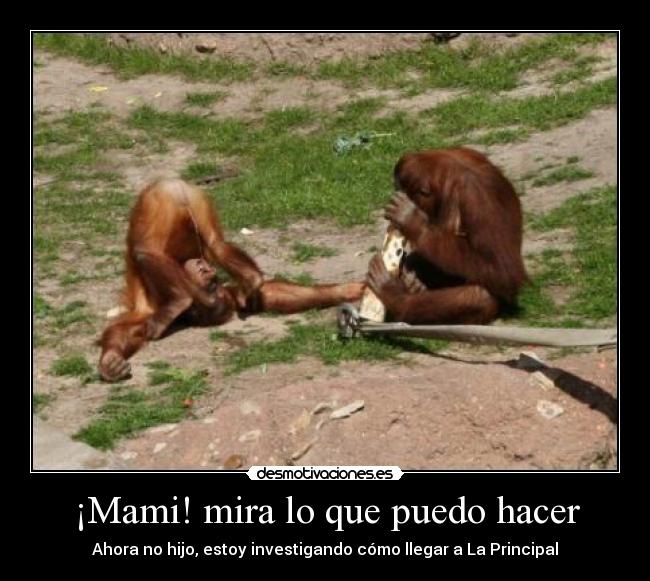 ¡Mami! mira lo que puedo hacer -