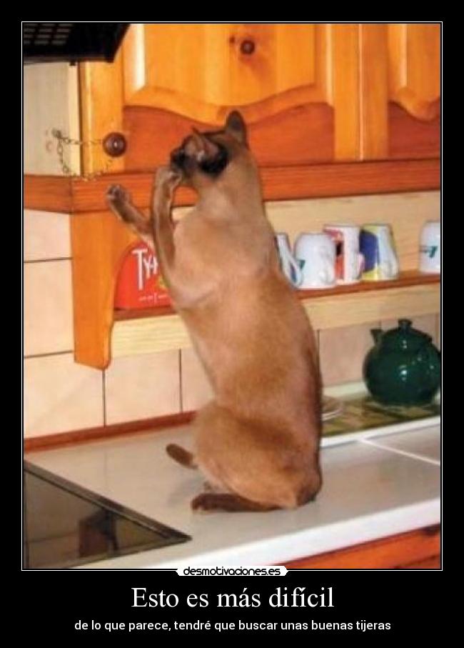 Esto es más difícil - 