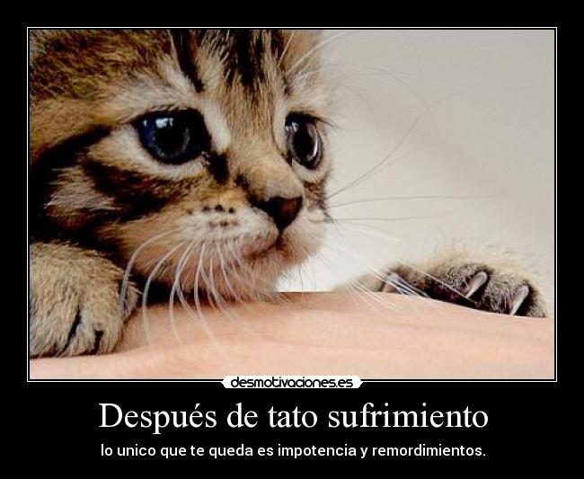 Después de tato sufrimiento -