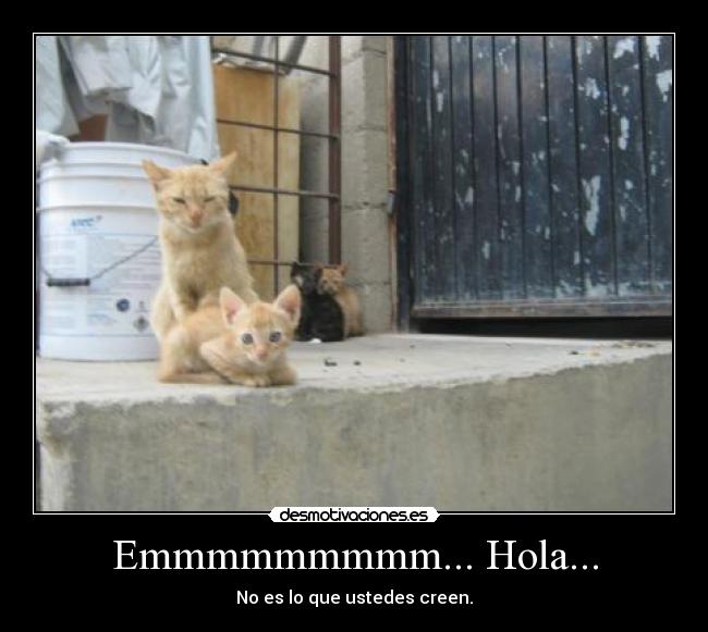 Emmmmmmmmm... Hola... -