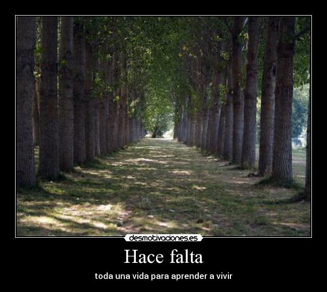Hace falta - toda una vida para aprender a vivir