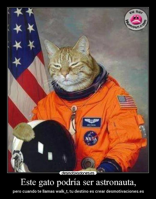 Este gato podría ser astronauta, - pero cuando te llamas walk_t, tu destino es crear desmotivaciones.es