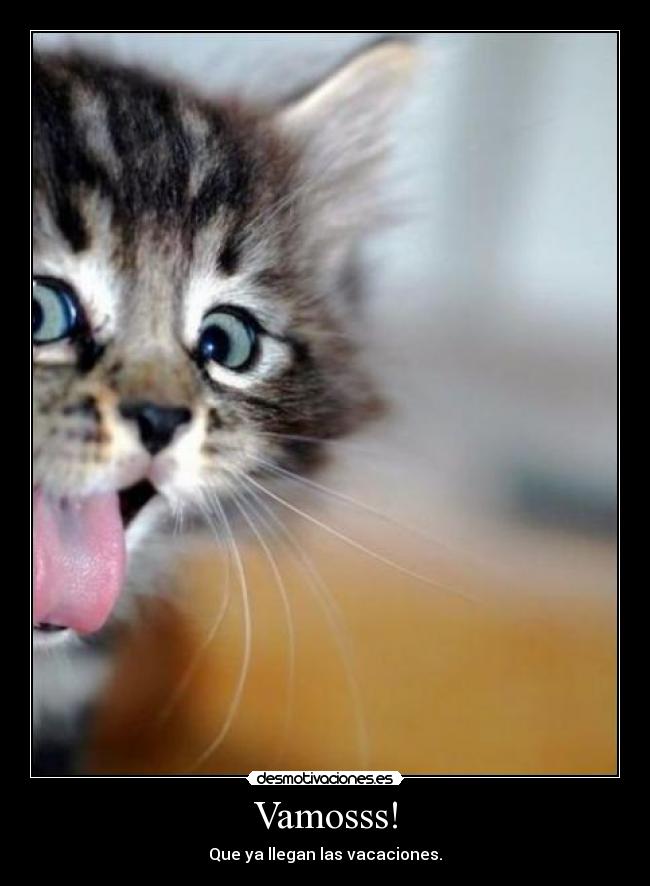 Vamosss! -