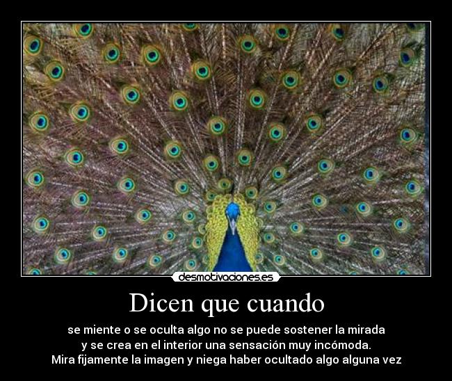 Dicen que cuando - se miente o se oculta algo no se puede sostener la mirada
y se crea en el interior una sensación muy incómoda.
Mira fijamente la imagen y niega haber ocultado algo alguna vez