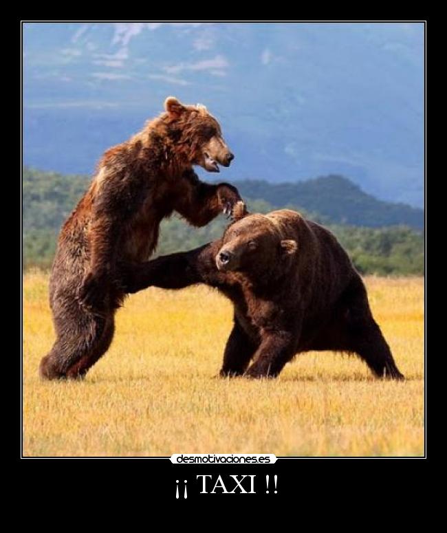 ¡¡ TAXI !! -