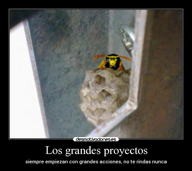 carteles grandes proyectos desmotivaciones
