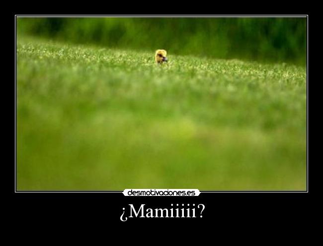 ¿Mamiiiii? - 