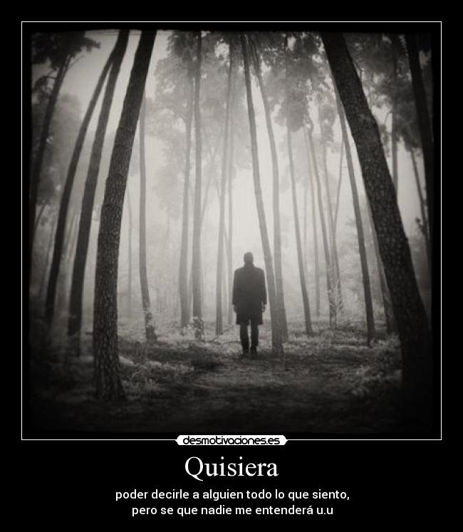 Quisiera - poder decirle a alguien todo lo que siento,
pero se que nadie me entenderá u.u