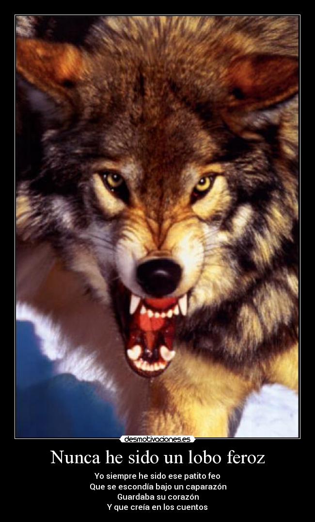 Nunca he sido un lobo feroz - Yo siempre he sido ese patito feo
Que se escondía bajo un caparazón
Guardaba su corazón
Y que creía en los cuentos