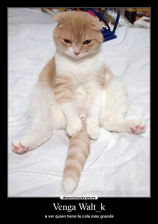 Venga Walt_k -