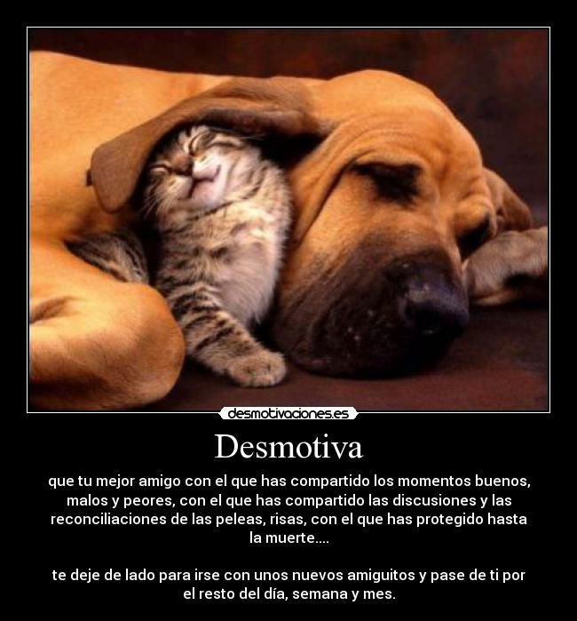 Desmotiva - 