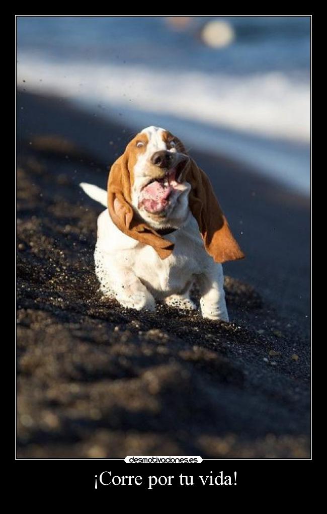¡Corre por tu vida! -