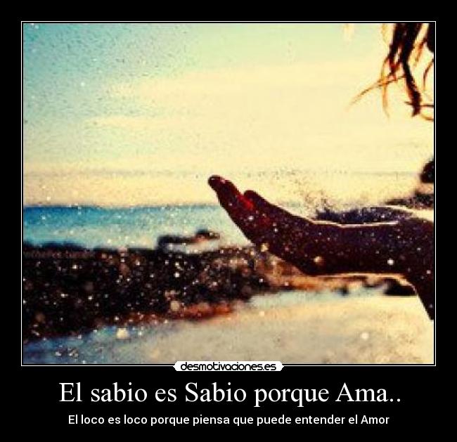 El sabio es Sabio porque Ama.. - El loco es loco porque piensa que puede entender el Amor♥