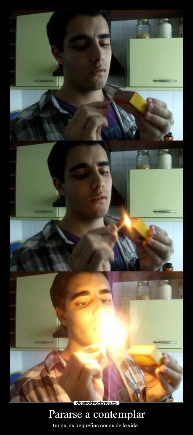 Pararse a contemplar - 