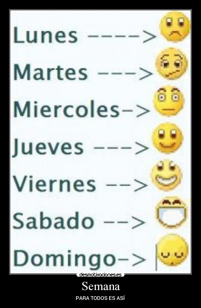 LUNES SABADO lunes sabado: