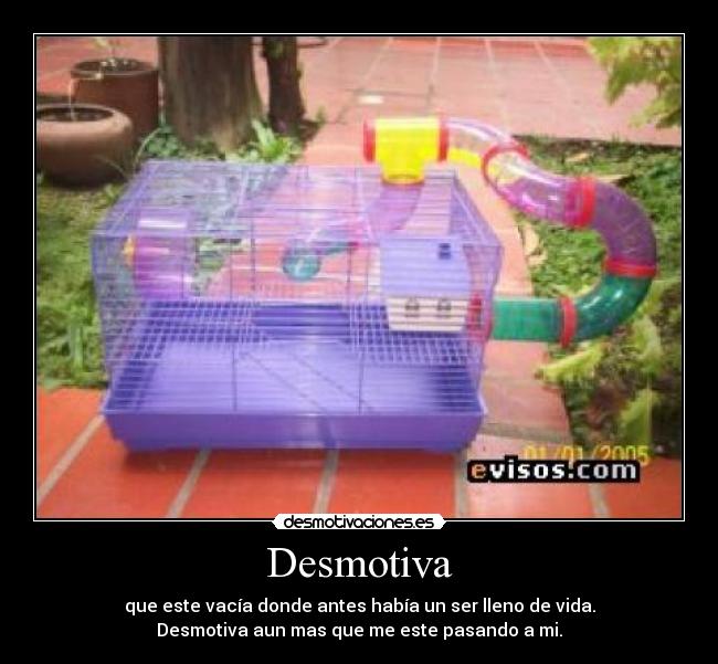 Desmotiva - 