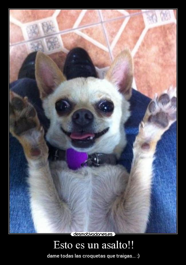 Esto es un asalto!! -