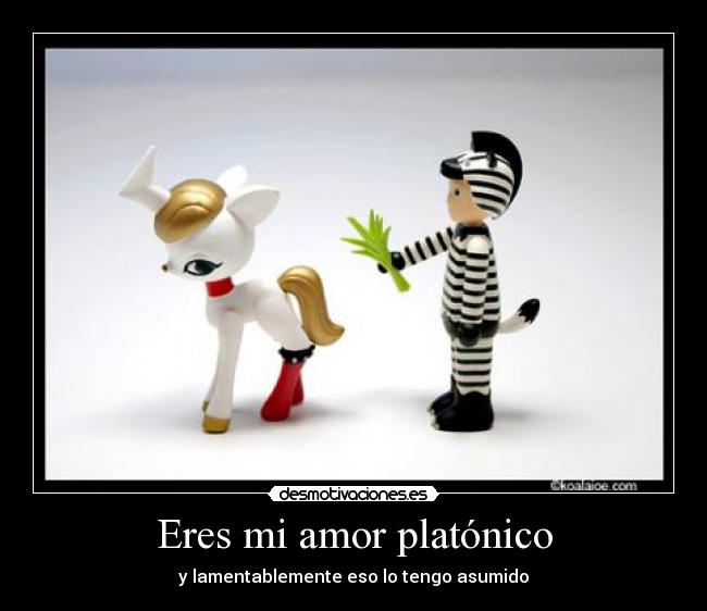 Imagenes De Amor Para Mi Amor Platonico | eres mi amor plat 243 nico desmotivaciones Imagenes De Amor Para Mi Amor Platonico | eres mi amor plat 243 nico desmotivaciones