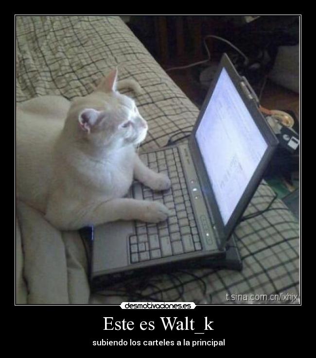 Este es Walt_k -