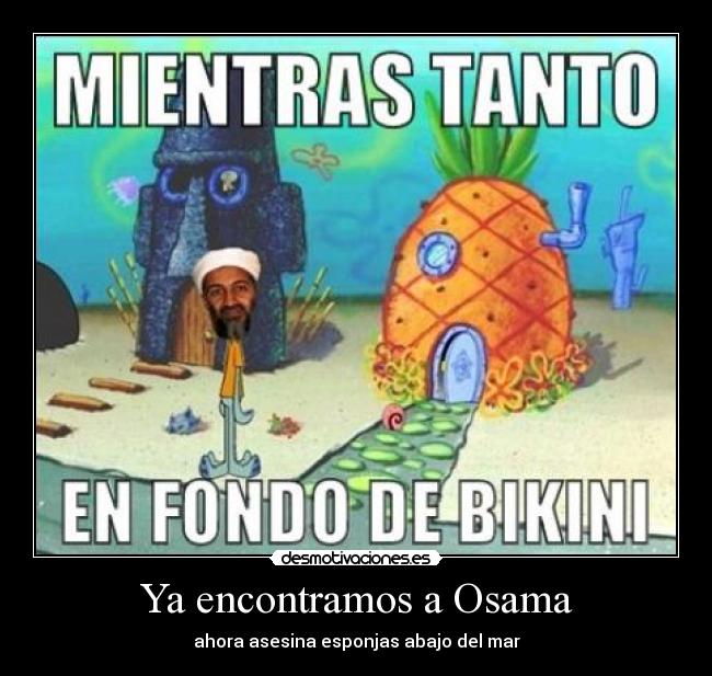 Ya encontramos a Osama - ahora asesina esponjas abajo del mar