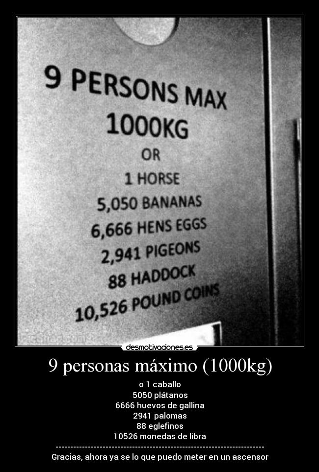 9 personas máximo (1000kg) -