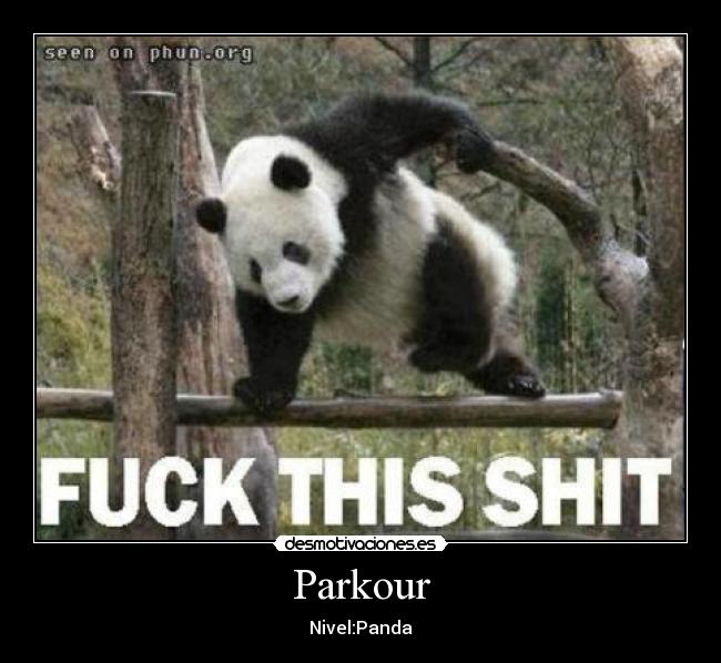 Parkour - Nivel:Panda