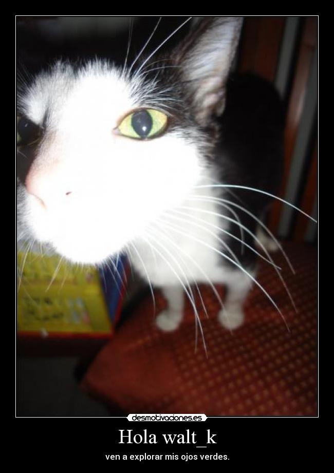 Hola walt_k - 