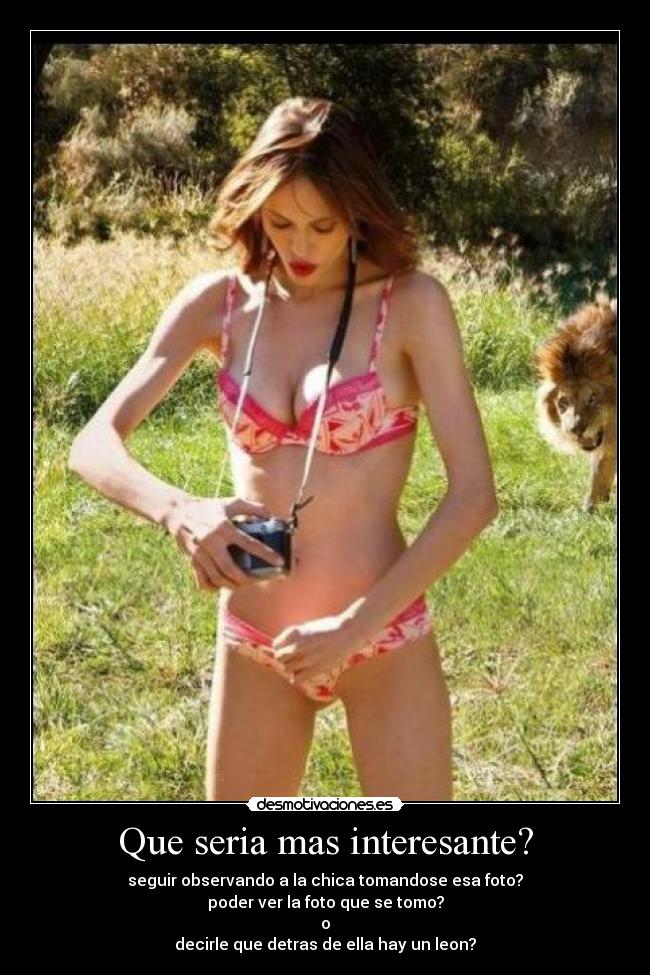 Que seria mas interesante? -