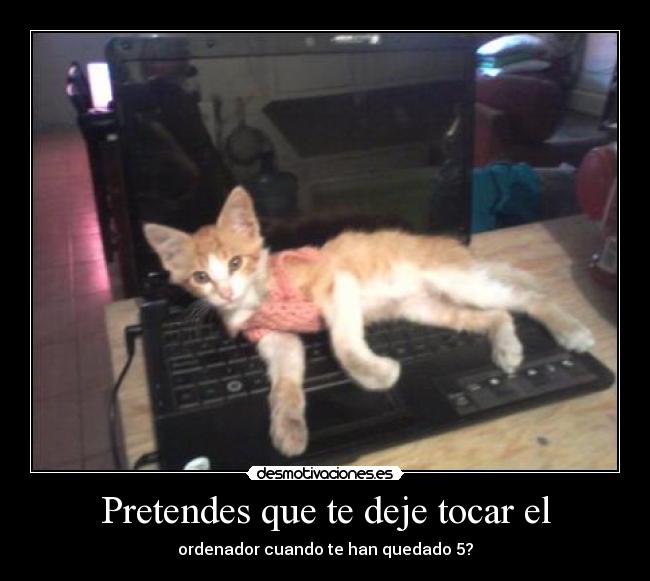 Pretendes que te deje tocar el - ordenador cuando te han quedado 5?