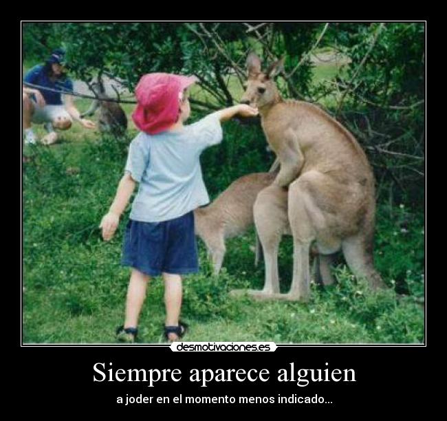 Siempre aparece alguien - 