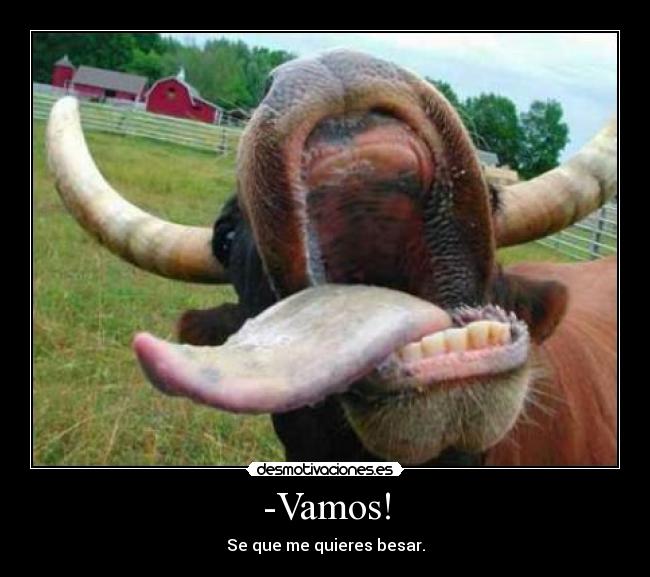 -Vamos! - Se que me quieres besar.